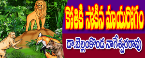 Kotiki sokina mayarogam